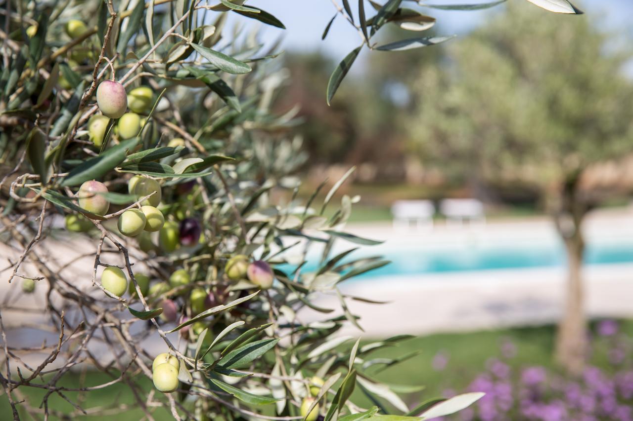 Masseria Saietti Ruffano Kültér fotó